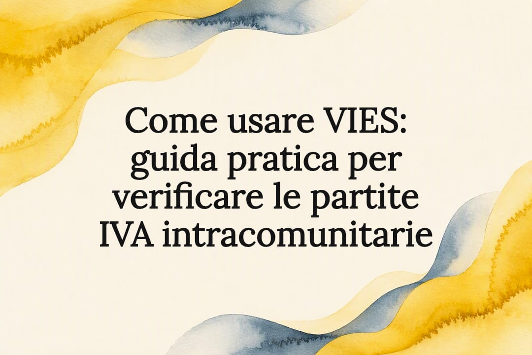 Struttura editoriale per la guida VIES
